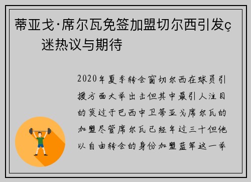 蒂亚戈·席尔瓦免签加盟切尔西引发球迷热议与期待